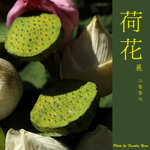 P6240463