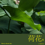 P6240464