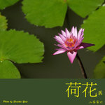 P6240468