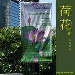 P6240488