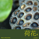 P6240492