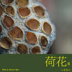 P6240493