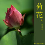 P6240500