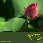 P6240501