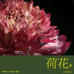 P6240517