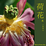 P6240522