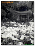 P1030101
