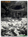 P1030102