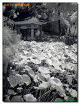 P1030104