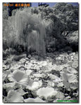 P1030107