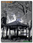 P1030126