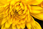 P1070838
