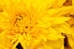 P1070840