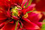 P1070846