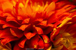 P1070880