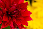 P1070881