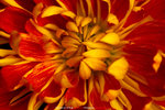P1070886