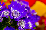 P1070901