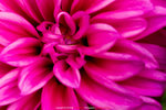 P1070904