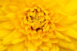 P1070906