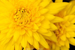 P1070908