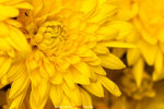 P1070910