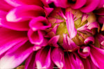 P1070912
