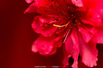 P1070920