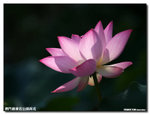 P1100257