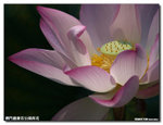 P1100260