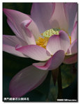 P1100261