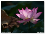 P1100264