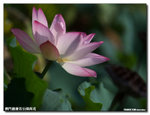 P1100267