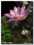 P1100271