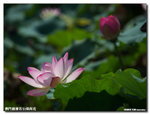 P1100272