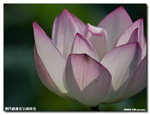 P1100273
