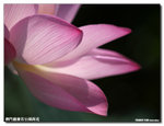 P1100281