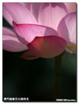 P1100283