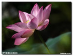 P1100287