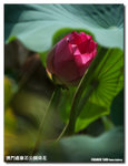 P1100289