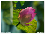 P1100293