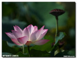 P1100295
