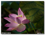 P1100297