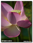 P1100303