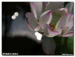 P1100310
