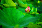 DSC04901