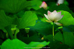 DSC05048