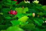 DSC05050