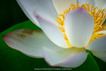 DSC05065