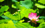 DSC05800